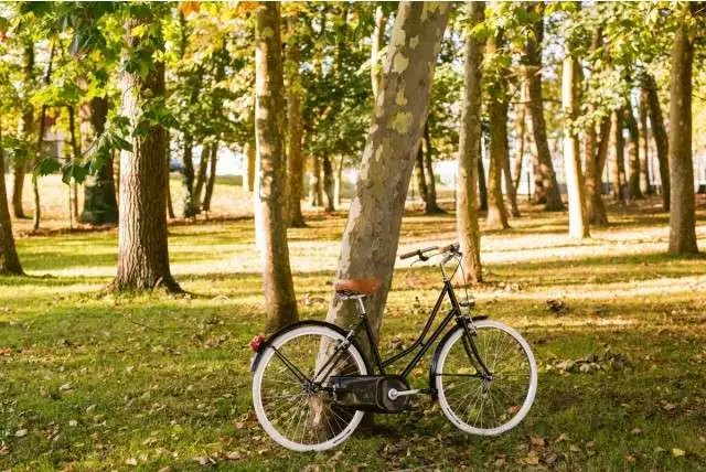 BICICLETA DE PASEO CAPRI GRACIA NEGRO 1V - Imagen 3