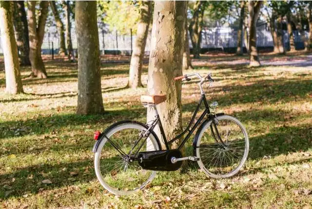 BICICLETA DE PASEO CAPRI GRACIA NEGRO 1V - Imagen 2